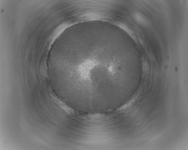 X0000077351023200611171853