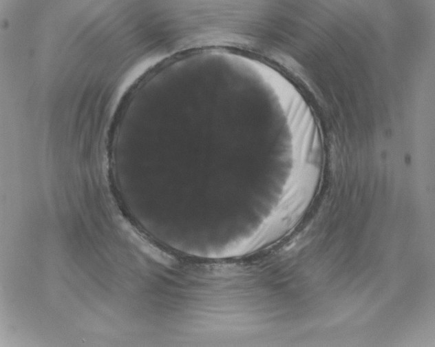 X0000077351024200611171853