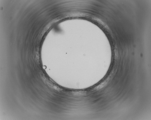 X0000077351025200611171853