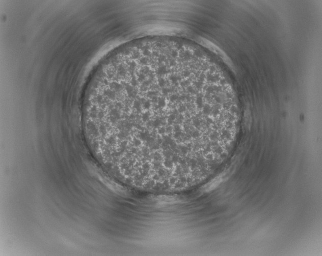 X0000077351027200611171853