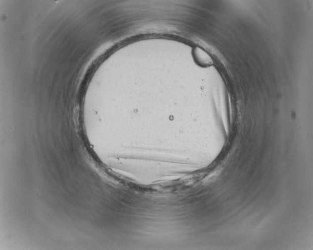 X0000077351029200611171853