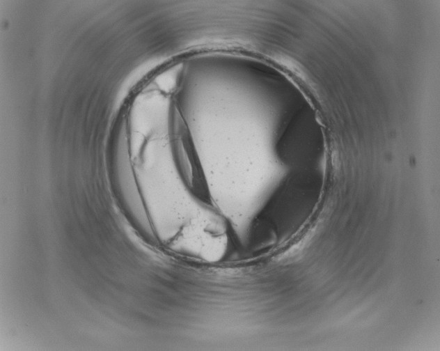 X0000077351030200611171853