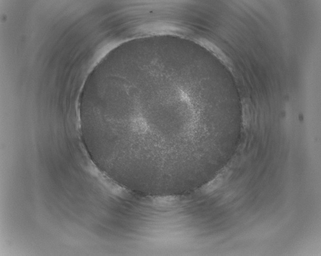 X0000077351031200611171853