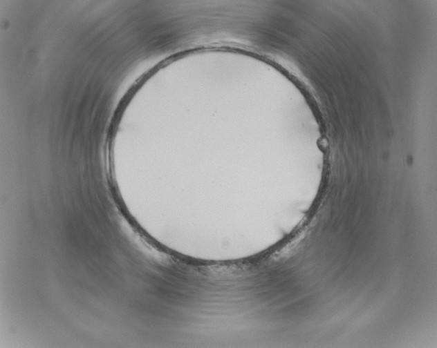 X0000077351032200611171853