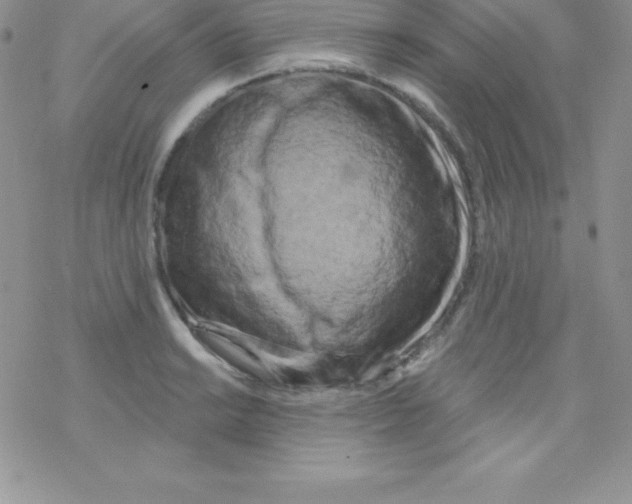 X0000077351038200611171853