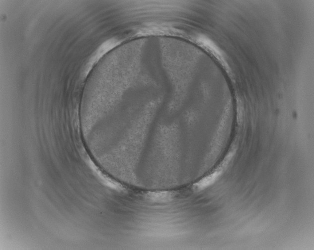 X0000077351041200611171853