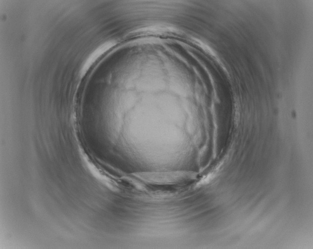 X0000077351042200611171853