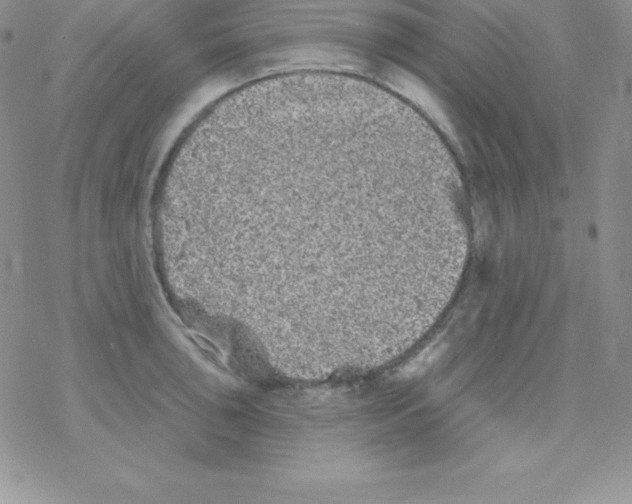 X0000077351043200611171853