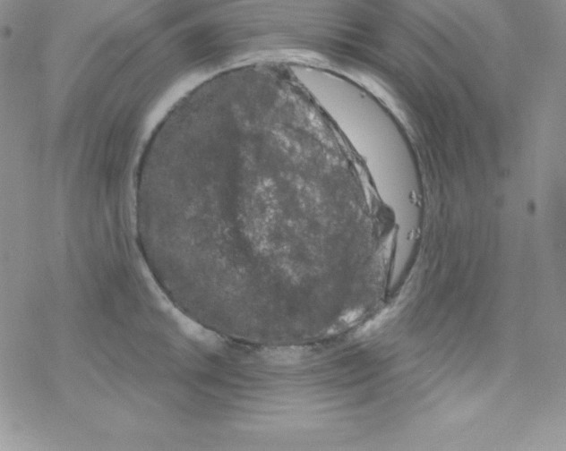 X0000077351046200611171853