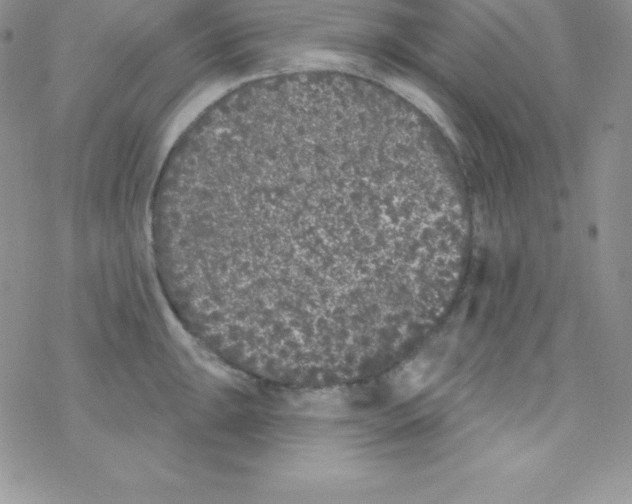 X0000077351047200611171853