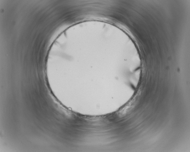 X0000077351048200611171853