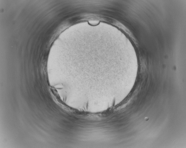 X0000077351049200611171853