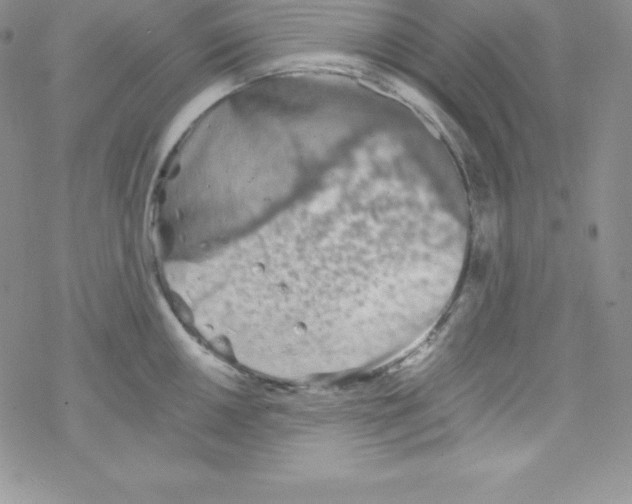 X0000077351050200611171853