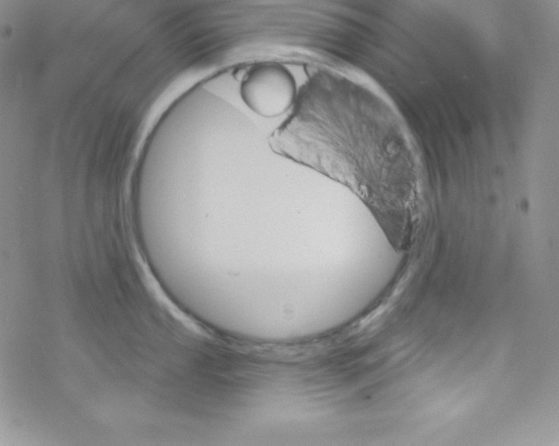 X0000077351053200611171853