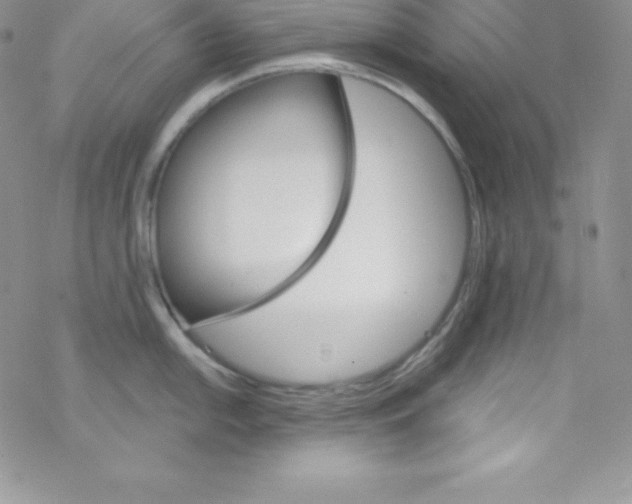 X0000077351054200611171853