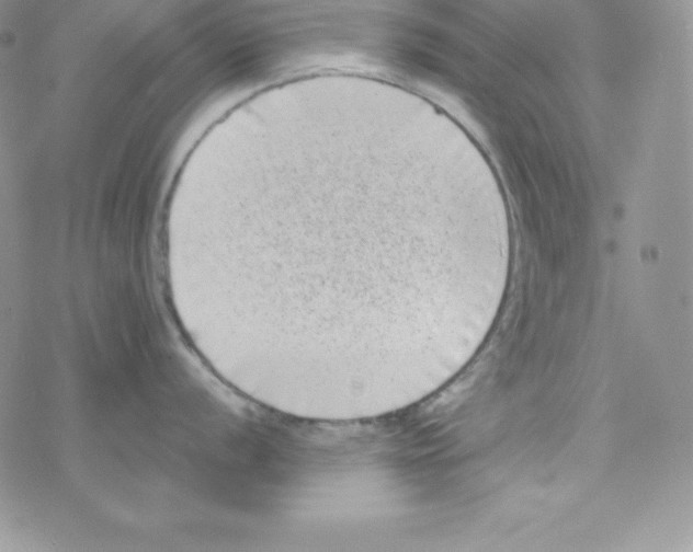 X0000077351056200611171853