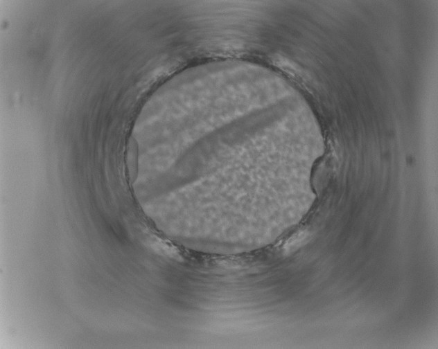 X0000077351057200611171852