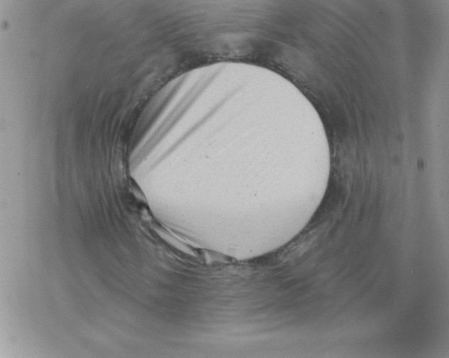 X0000077351058200611171852