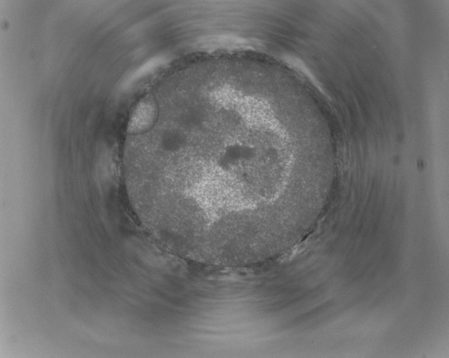 X0000077351063200611171852