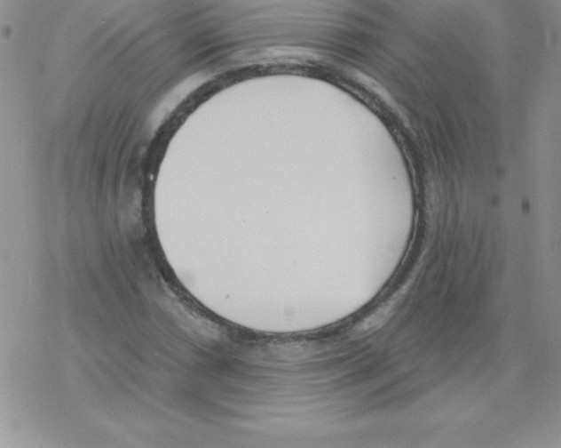 X0000077351066200611171852