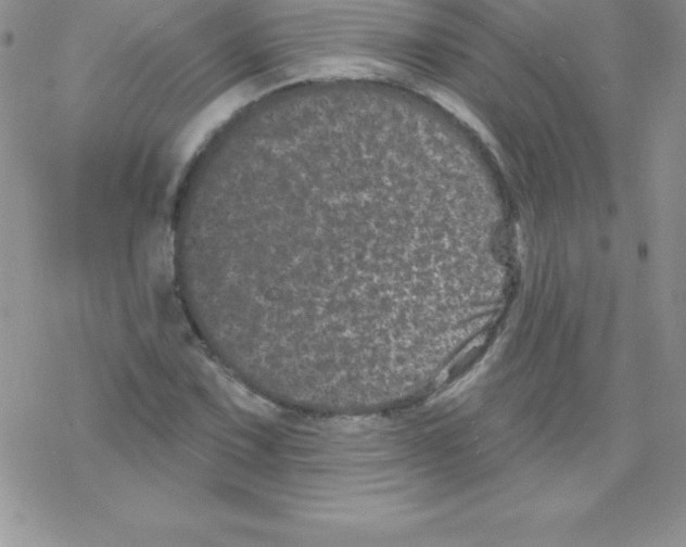 X0000077351067200611171852