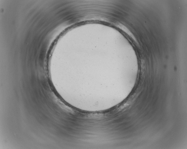 X0000077351068200611171852