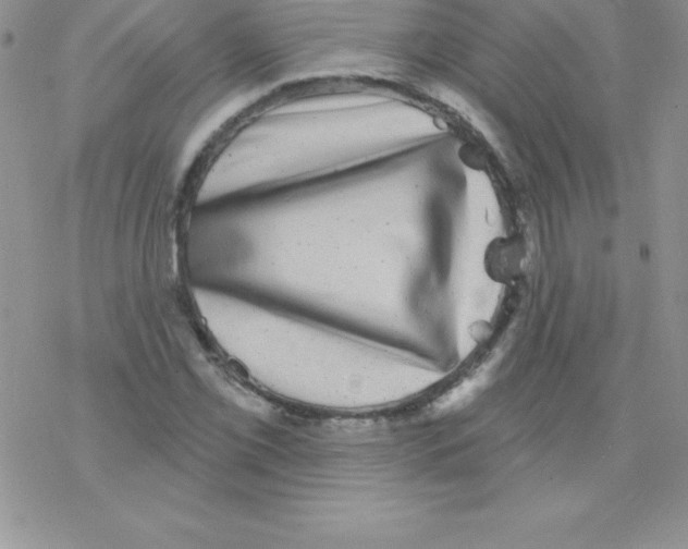 X0000077351069200611171852