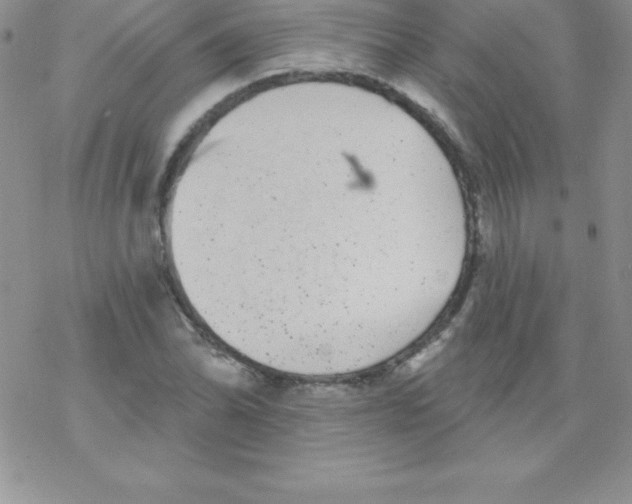 X0000077351070200611171852