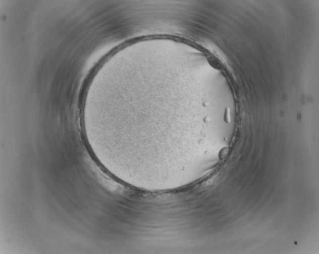 X0000077351072200611171852