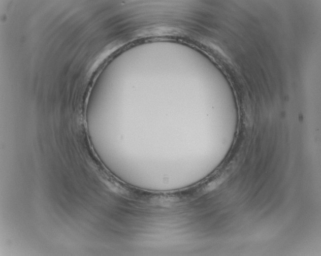 X0000077351073200611171852