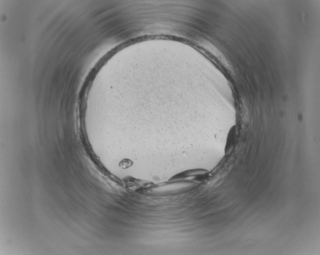 X0000077351076200611171852