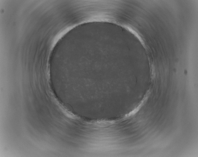 X0000077351077200611171852