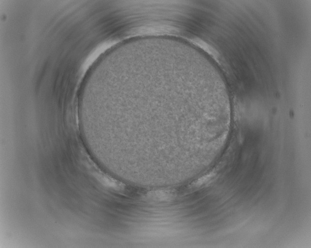 X0000077351078200611171852