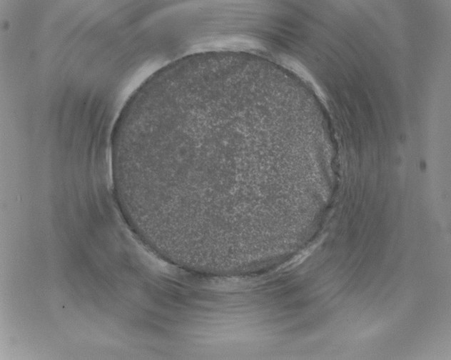 X0000077351079200611171852