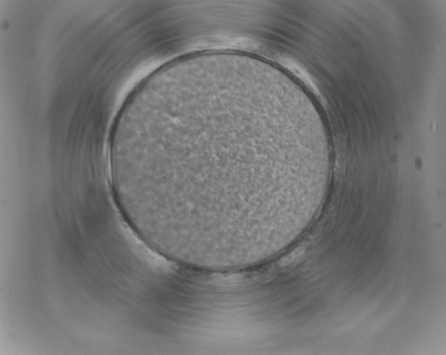 X0000077351080200611171852