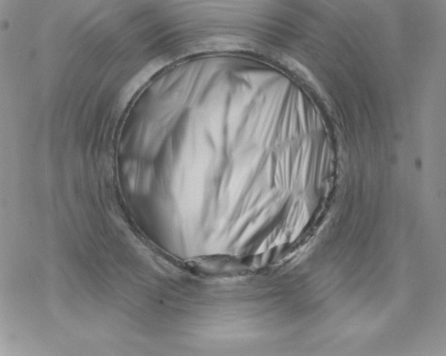 X0000077351081200611171852