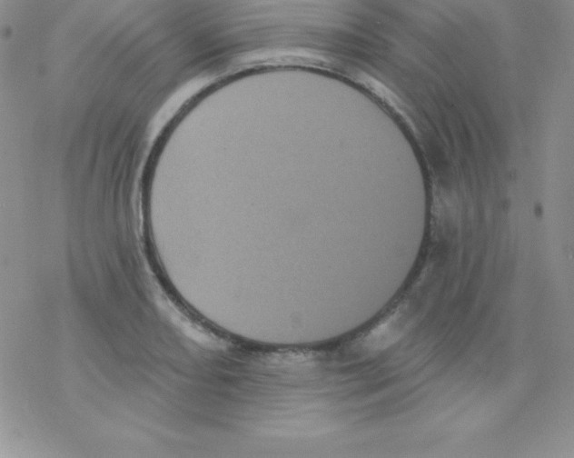 X0000077351082200611171852