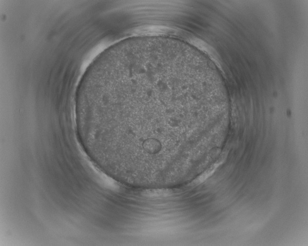 X0000077351083200611171852