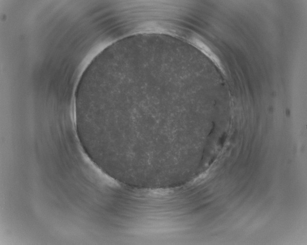 X0000077351084200611171852