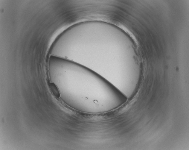 X0000077351085200611171852