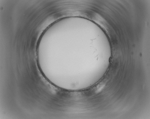 X0000077351088200611171852