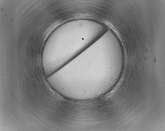 X0000077351089200611171852