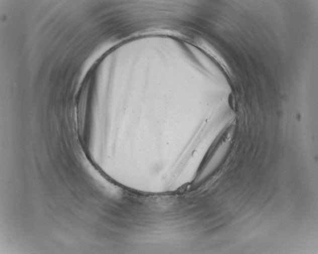 X0000077351092200611171852