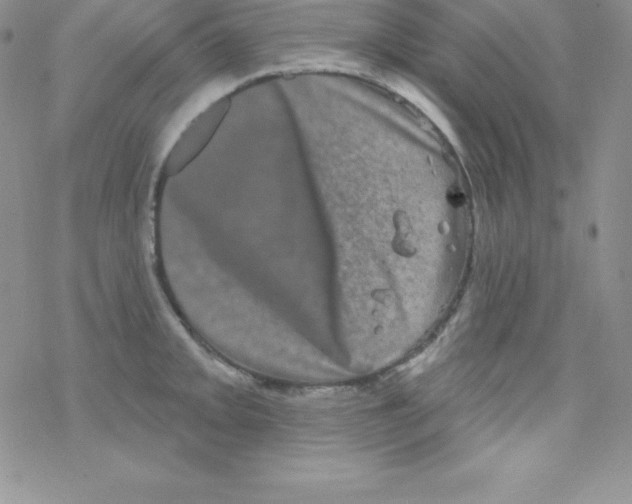 X0000077351093200611171852