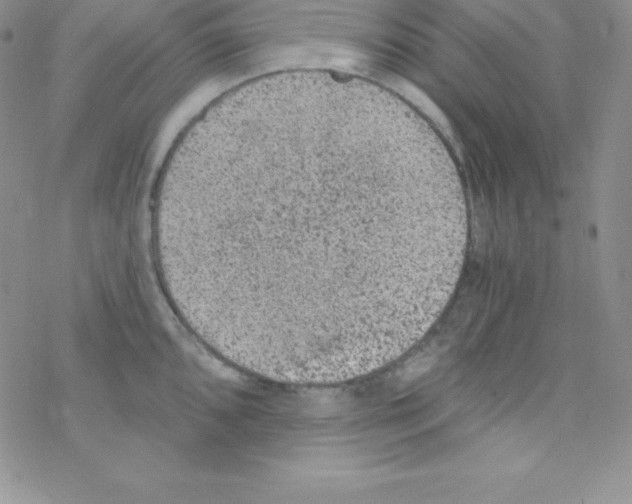 X0000077351096200611171852