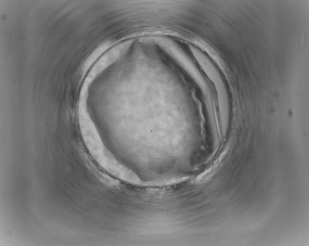 X0000077351097200611171852