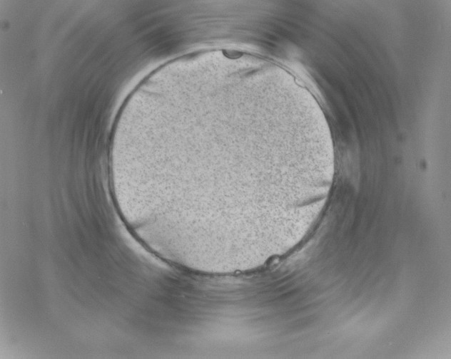 X0000077351100200611171852