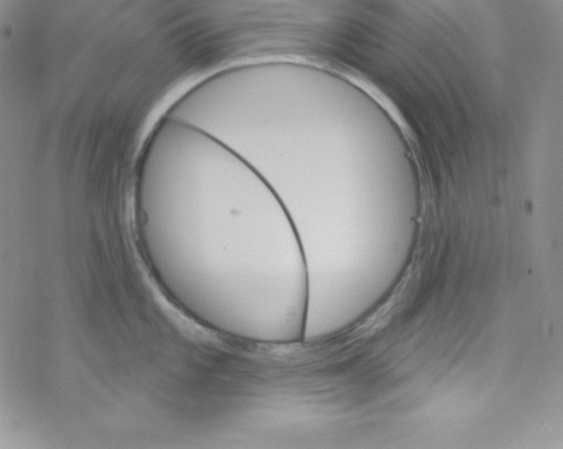 X0000077351101200611171852