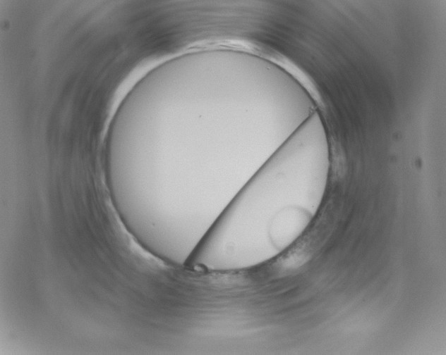 X0000077351102200611171852