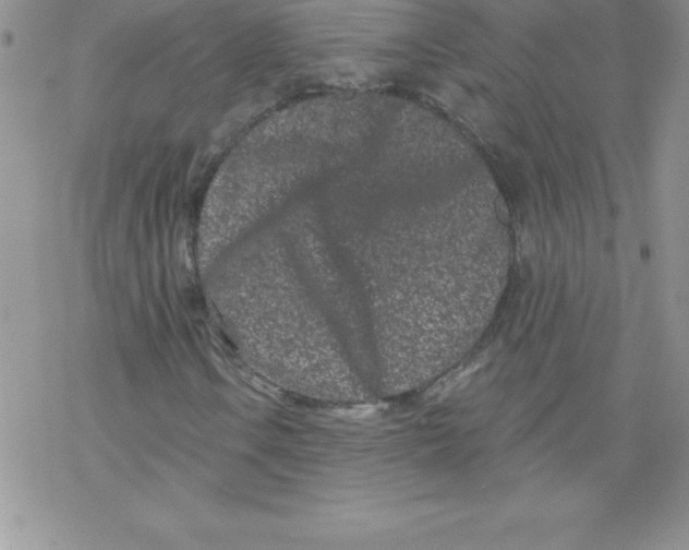 X0000077351106200611171851